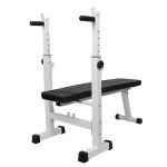 Adjustable 4-in-1 Weight Bench with Dip Station