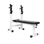Adjustable 4-in-1 Weight Bench with Dip Station