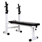 Adjustable 4-in-1 Weight Bench with Dip Station