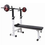 Adjustable 4-in-1 Weight Bench with Dip Station