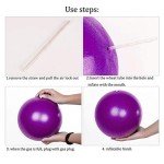 Mini Pilates Ball for Home Fitness & Therapy