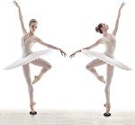 Ballet Turn Disc for Dancers and Skaters