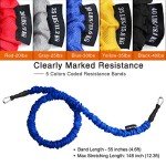 COITEK 14-Piece Resistance Bands Set for Fitness
