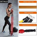 COITEK 14-Piece Resistance Bands Set for Fitness