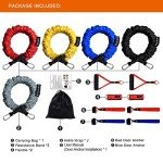 COITEK 14-Piece Resistance Bands Set for Fitness