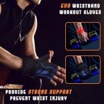 EVO Fitness Breathable Weight Lifting Gym Gloves