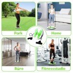 Joycabin Twist Waist Disc for Core and Balance