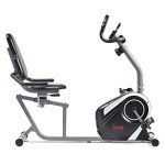 Sunny Health & Fitness Magnetic Recumbent Exercise Bike