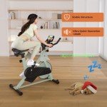 DeerRun Adjustable Magnetic Resistance Indoor Exercise Bike
