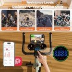 DeerRun Adjustable Magnetic Resistance Indoor Exercise Bike