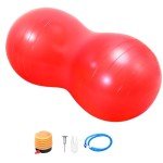 Trintion Anti-Burst Exercise Ball with Pump