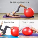 Trintion Anti-Burst Exercise Ball with Pump