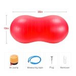 Trintion Anti-Burst Exercise Ball with Pump