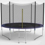 10FT Round Trampoline with Safety Net and Ladder