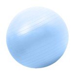 65CM Gym Ball with Hand Pump for Home Fitness