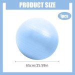 65CM Gym Ball with Hand Pump for Home Fitness