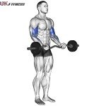 Barbell and Dumbbell Curl Set (4ft EZ Curl Bar)