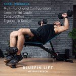 Adjustable Bluefin Fitness Weight Bench - Foldable & Versatile