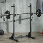 Adjustable Heavy-Duty Squat Rack with Dip Station