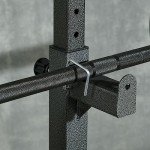 Adjustable Heavy-Duty Squat Rack with Dip Station