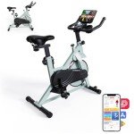 Lacuffy Indoor Exercise Bike with LCD Display