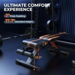 Adjustable Weight Bench for Home Gym Workouts
