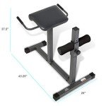 Adjustable Roman Chair for Home Workouts