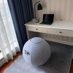 YOGIVO Yoga Ball Chair for Home Office Fitness