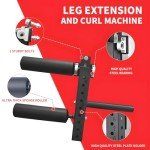 Leg Extension and Curl Attachment for Power Rack