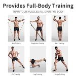 Resistance Bands Set with Handles - 11 Pieces