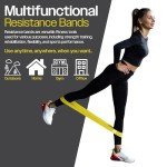 Resistance Bands Set of 5 for All Fitness Levels