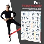 Resistance Bands Set of 5 for All Fitness Levels
