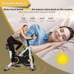 CHAOKE Indoor Cycling Exercise Bike with Tablet Holder
