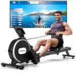 DMASUN Magnetic Rowing Machine for Home Gym