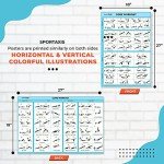 Sportaxis No-Equipment Core Workout Wall Poster