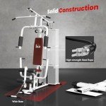 HOMCOM Multi Gym Workout Station with Weight Stack