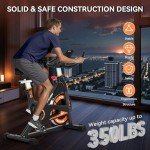 Wenoker Indoor Exercise Bike with LCD Display