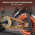 Wenoker Indoor Exercise Bike with LCD Display