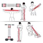 3-in-1 Tummy Trimmer and Chest Expander