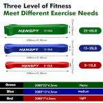 HANSPY Resistance Bands Set for Home Workouts