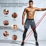 HANSPY Resistance Bands Set for Home Workouts