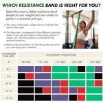 HANSPY Resistance Bands Set for Home Workouts