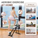 HXD-ERGO Vertical Climber and Stepper Fitness Tool