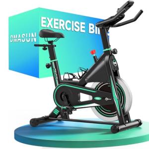 DMASUN Silent Indoor Cycling Bike with LCD Display