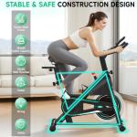 DMASUN Silent Indoor Cycling Bike with LCD Display