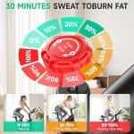DMASUN Silent Indoor Cycling Bike with LCD Display