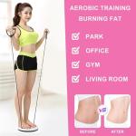 Adjustable Waist Twisting Exercise Disc with Handles