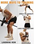 Fitarc Double D Cable Row Handle Attachment