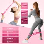 Pilates Ring Set with Resistance Bands and Ball