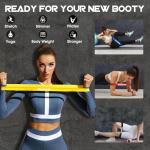 Vexloria 5-Level Resistance Bands Set with Case